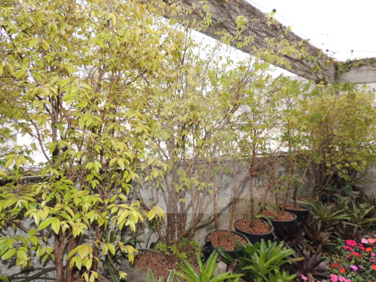 Sala-Conjunto, 80 m² - Foto 22