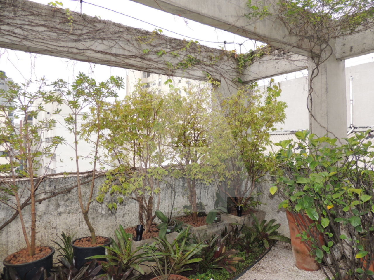 Sala-Conjunto, 80 m² - Foto 17