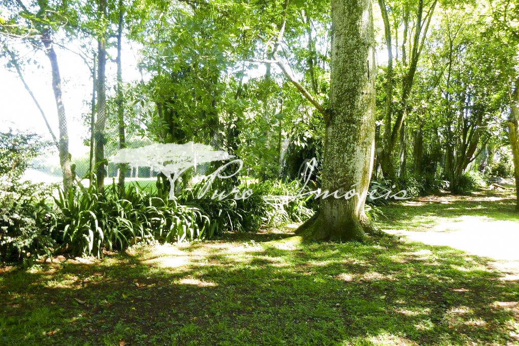 Casa, 3 quartos, 359 m² - Foto 9