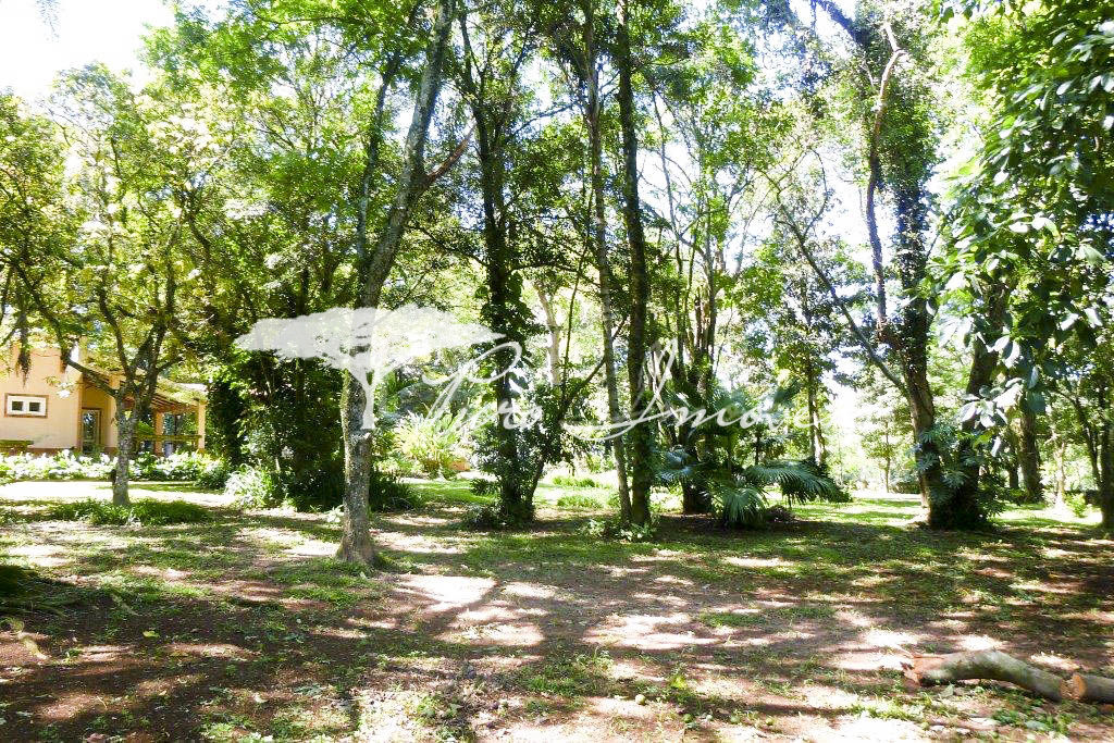 Casa, 3 quartos, 359 m² - Foto 10