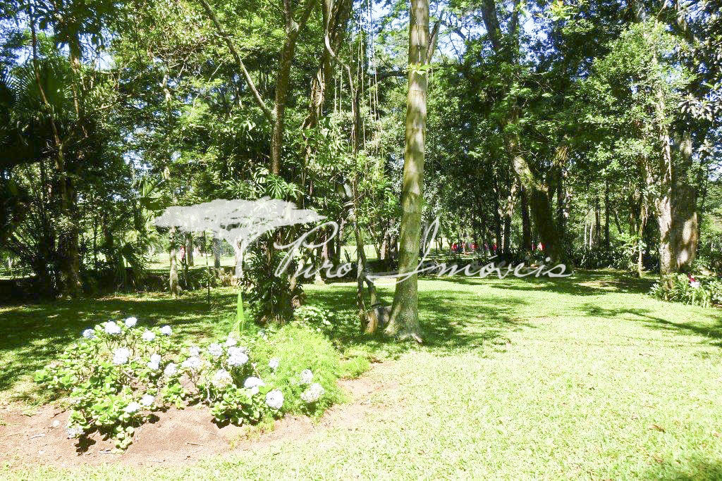Casa, 3 quartos, 359 m² - Foto 14